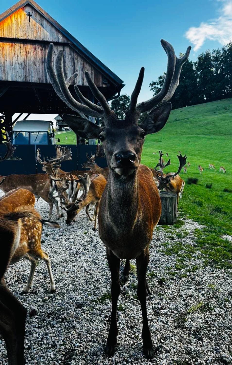 Glamping - domačija Lamperček Campground/ 
RV Resort in Slovenia