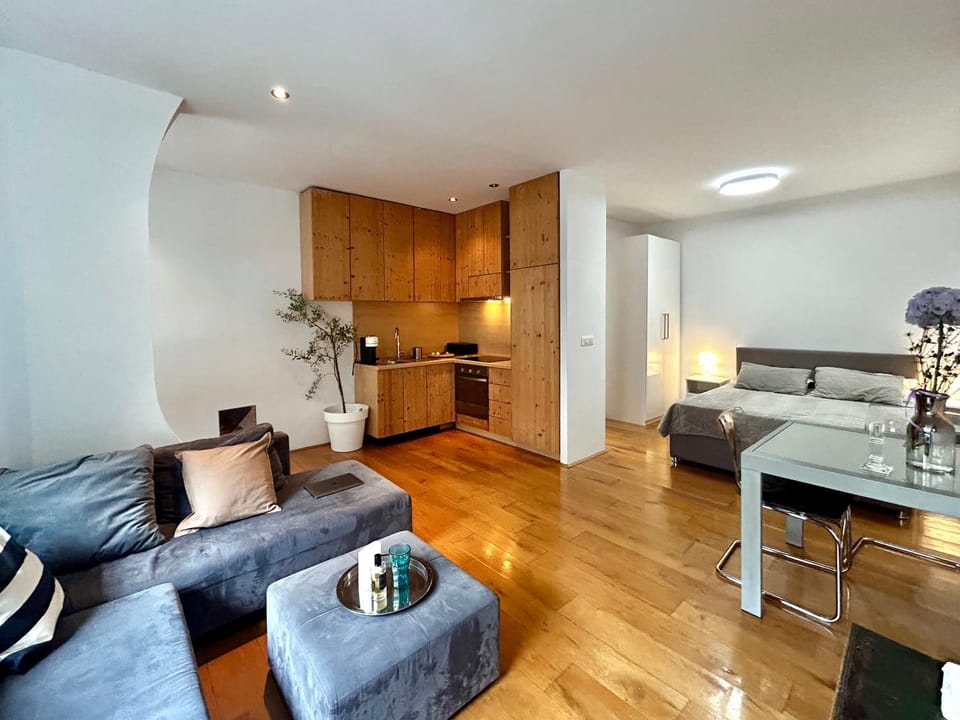 Designers Studio Apartment Apartment in City of Zagreb