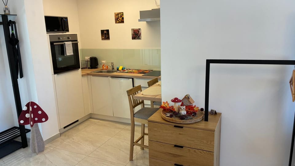 Kitchen or kitchenette, Food and drinks, Dining area, Food, oven, stove