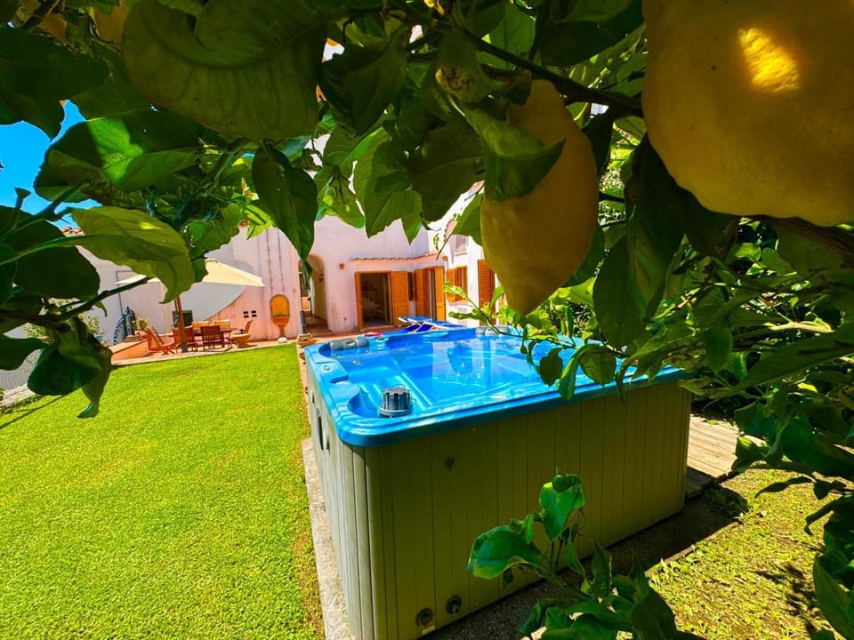 Garden, Hot Tub
