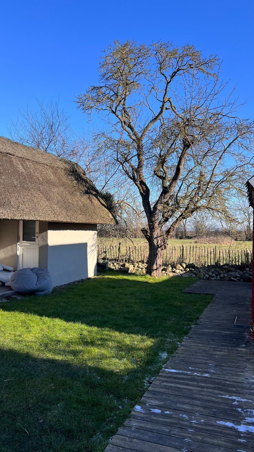 Reethuus Fehmarn with fireplace and sauna House in Ostholstein