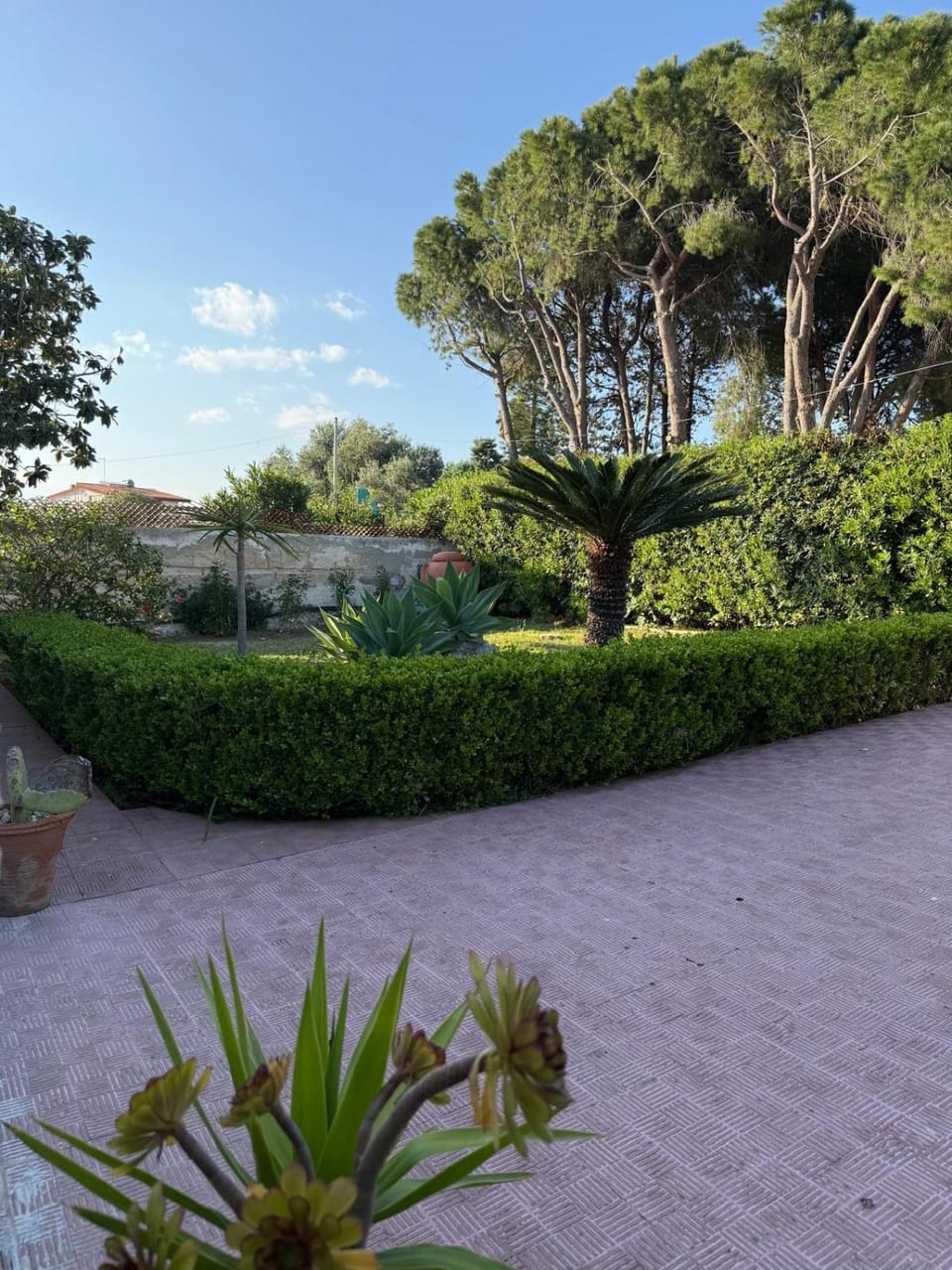 FONTANE BIANCHE 300MT fROM BEACH House in Fontane Bianche
