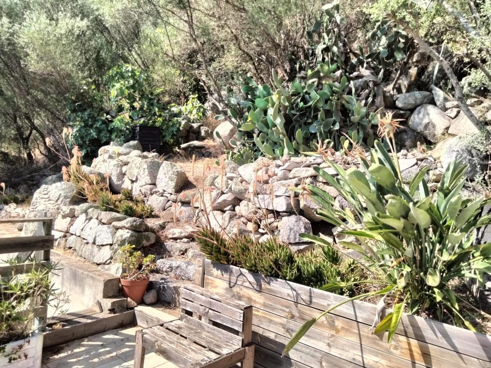 Natural landscape