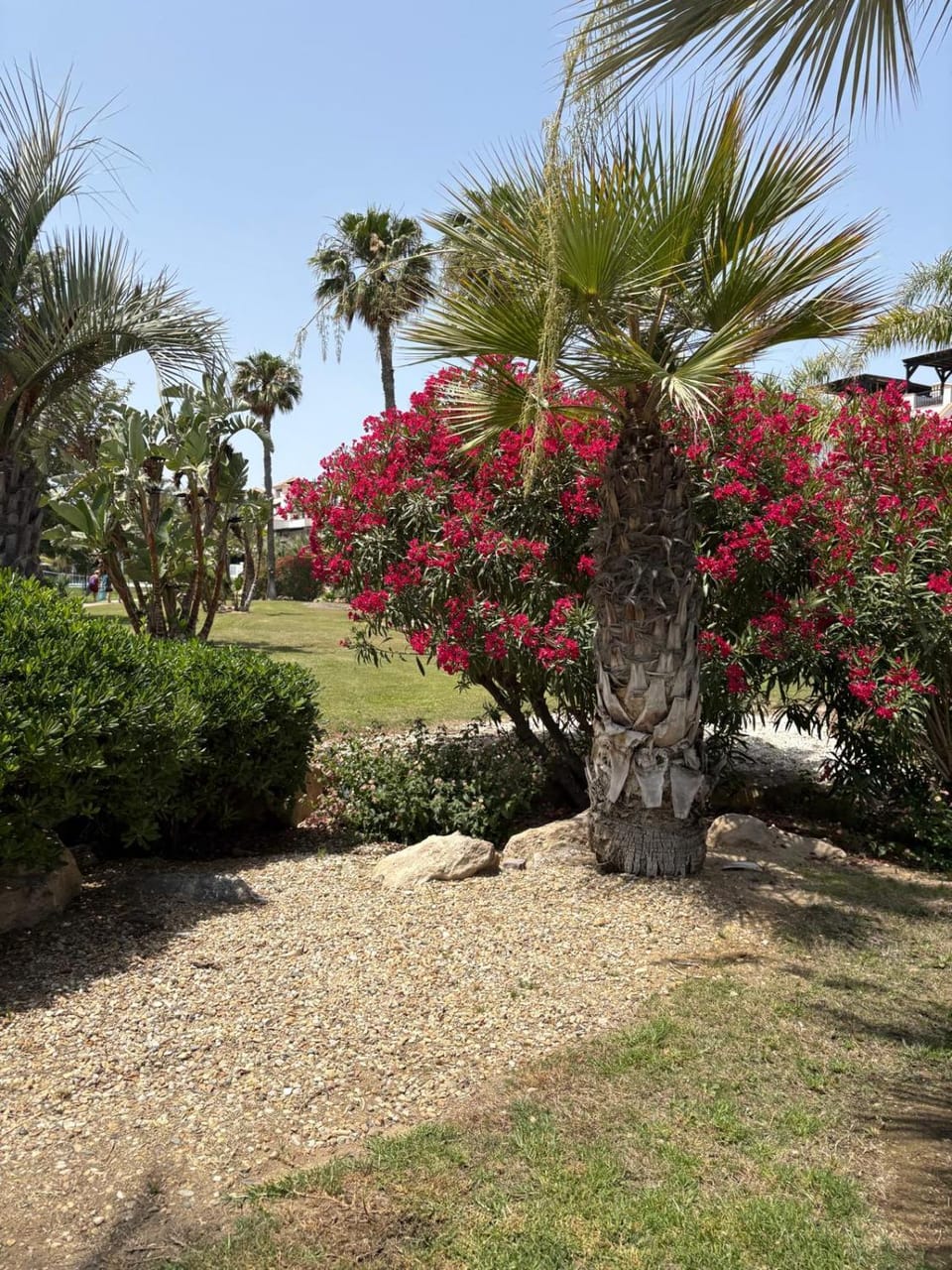 Apartamento en primera línea de playa Jardines de Nuevo Vera, Vera Playa, Almeria Apartment in Andalusia