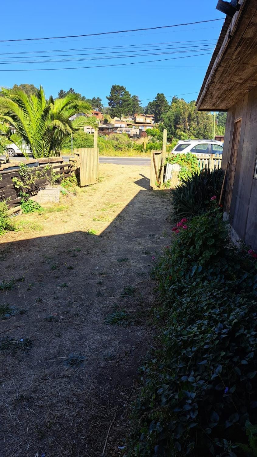 Day, Garden, Garden view