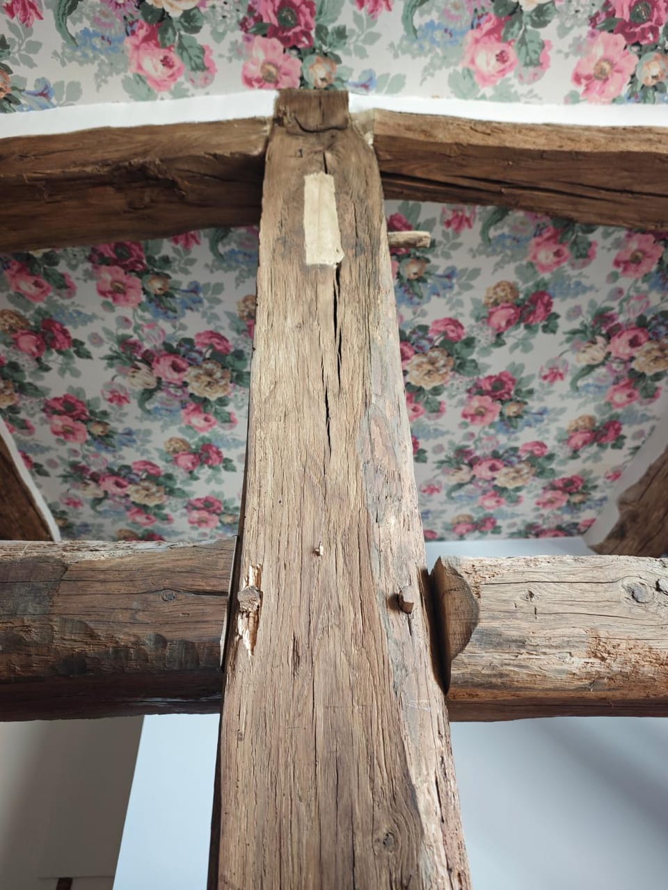 Gîtes des cerisiers House in Auvergne-Rhône-Alpes