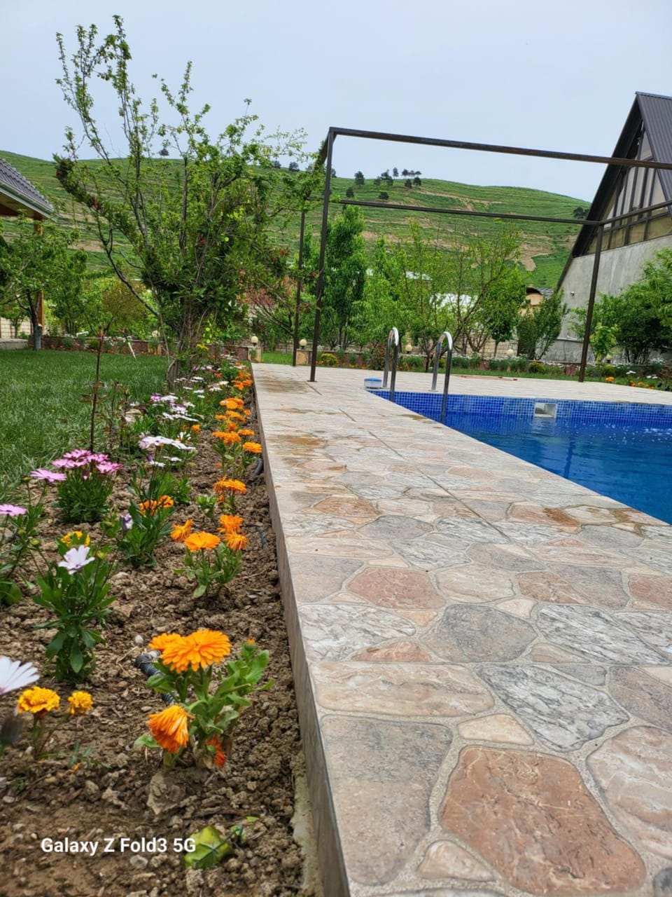 Shabran Pearl Oasis - Family Garden House - Ailəvi Bağ Evi Villa in Azerbaijan