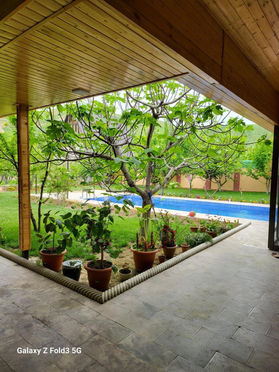 Shabran Pearl Oasis - Family Garden House - Ailəvi Bağ Evi Villa in Azerbaijan