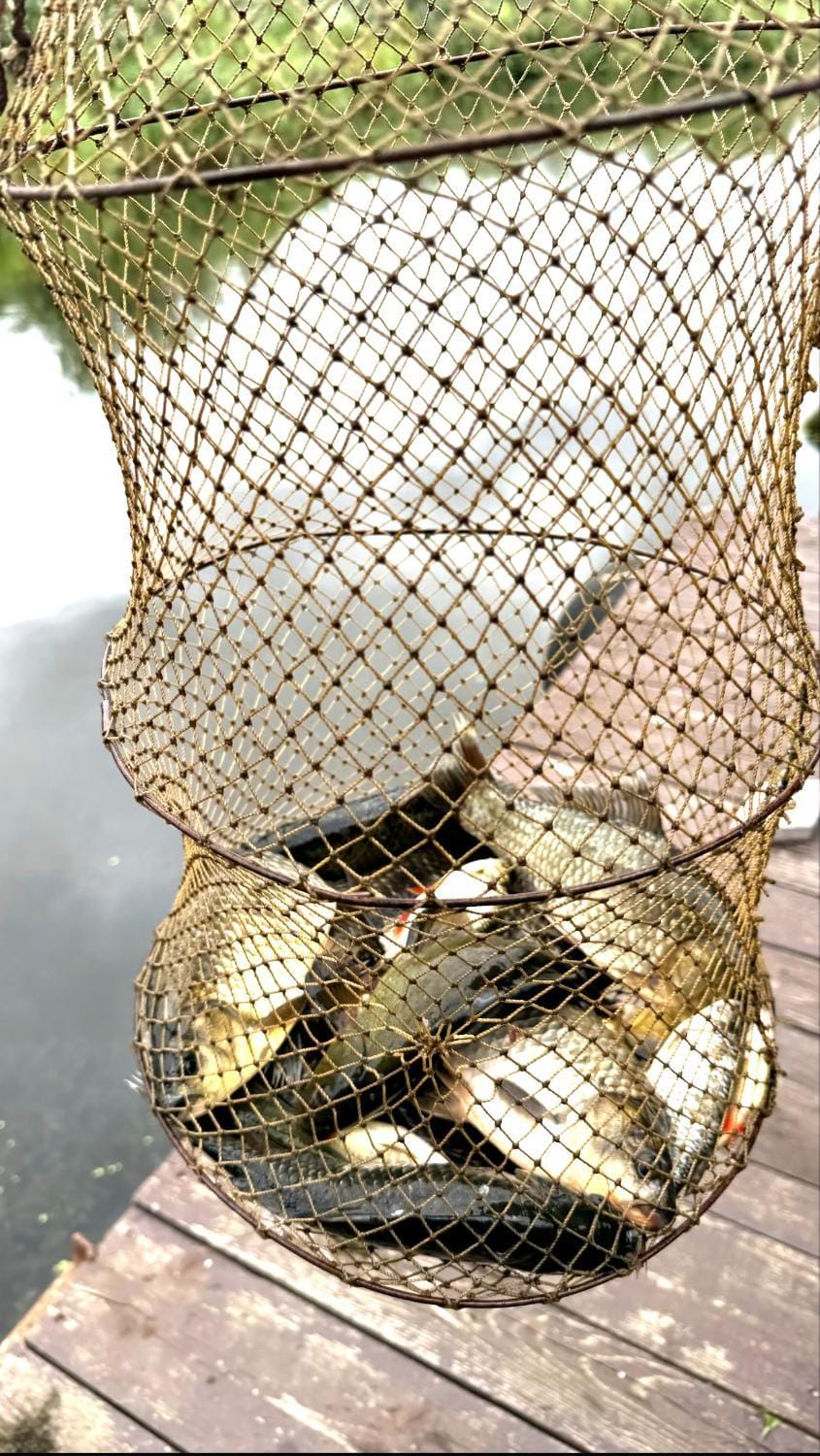 Fishing