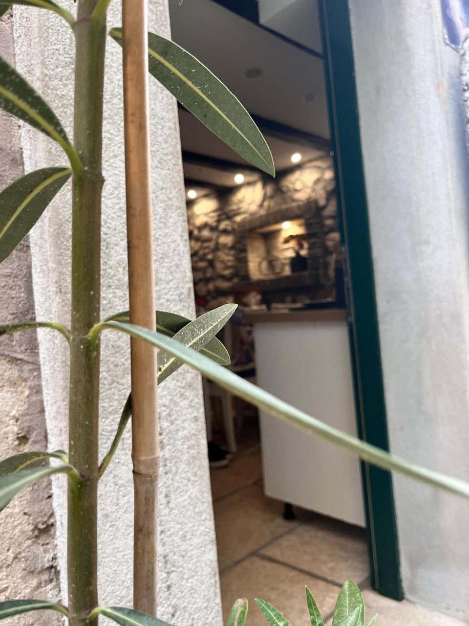 Grotto Apartment in Rovinj