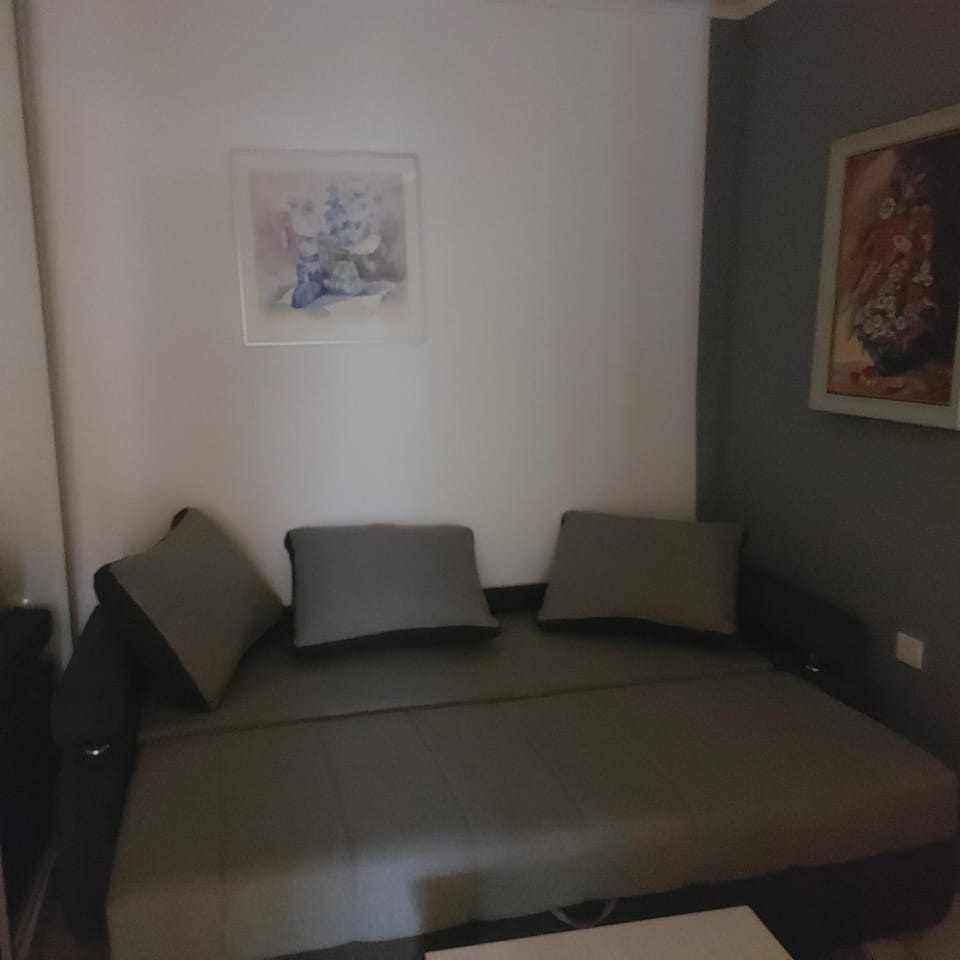 City for two Apartment with parking Apartment in Novi Sad