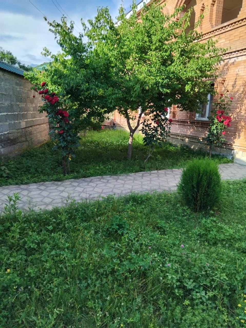 Tamila Guesthouse Hostel in Georgia