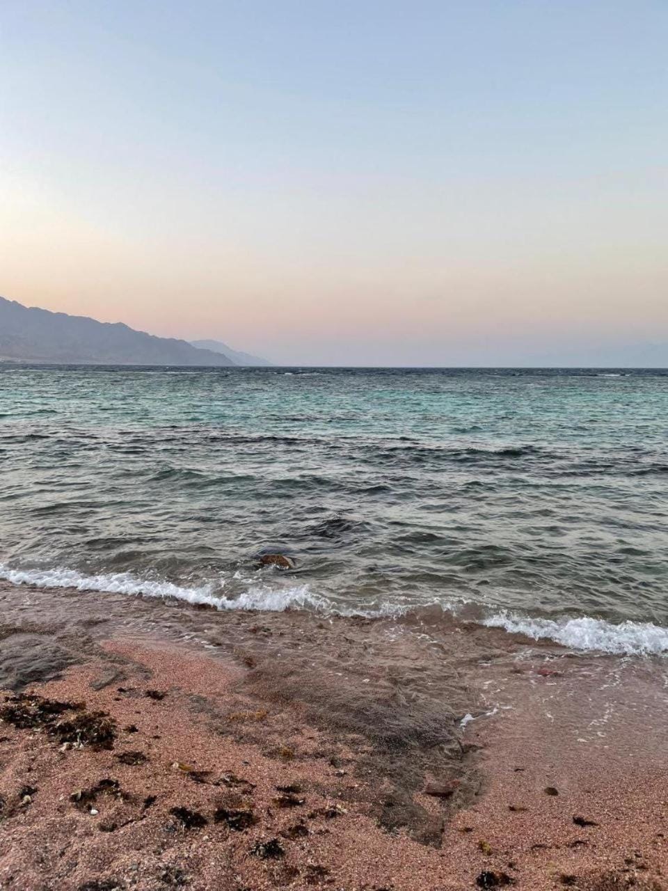 Palm nest home Apartment in South Sinai Governorate