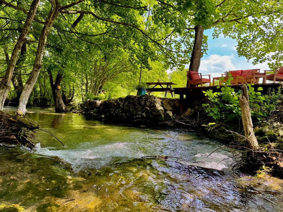 Pine River Dobrenica Chalet in Federation of Bosnia and Herzegovina