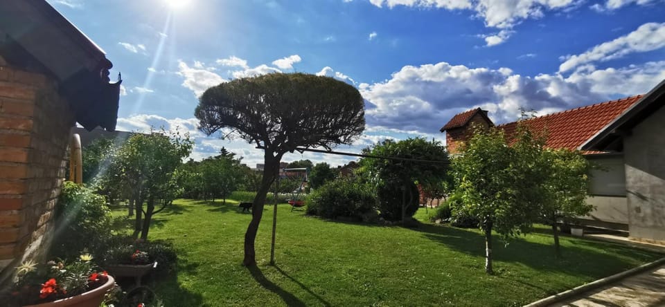 Day, Natural landscape, Garden, Garden view