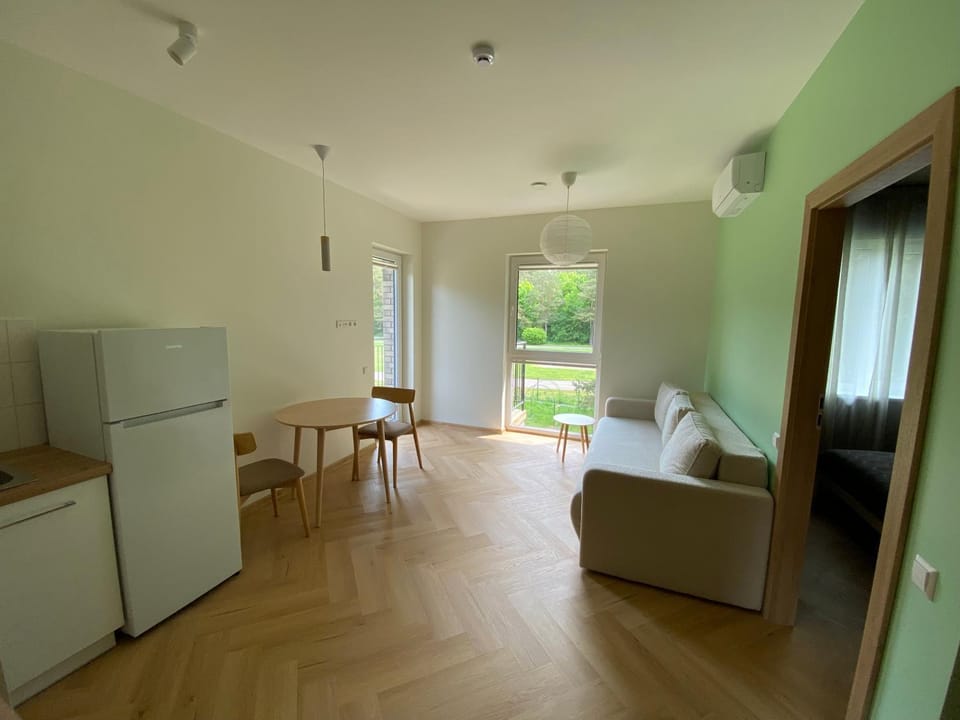 Kitchen or kitchenette, Living room, Seating area, Dining area