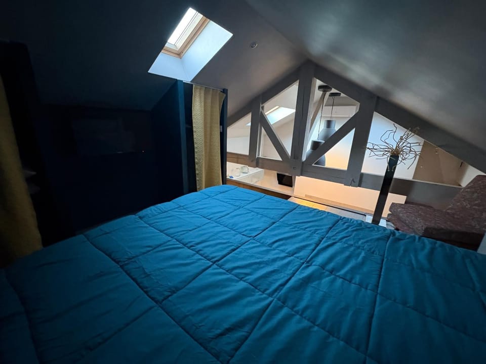 Les lauriers du loft Apartment in Nouvelle-Aquitaine