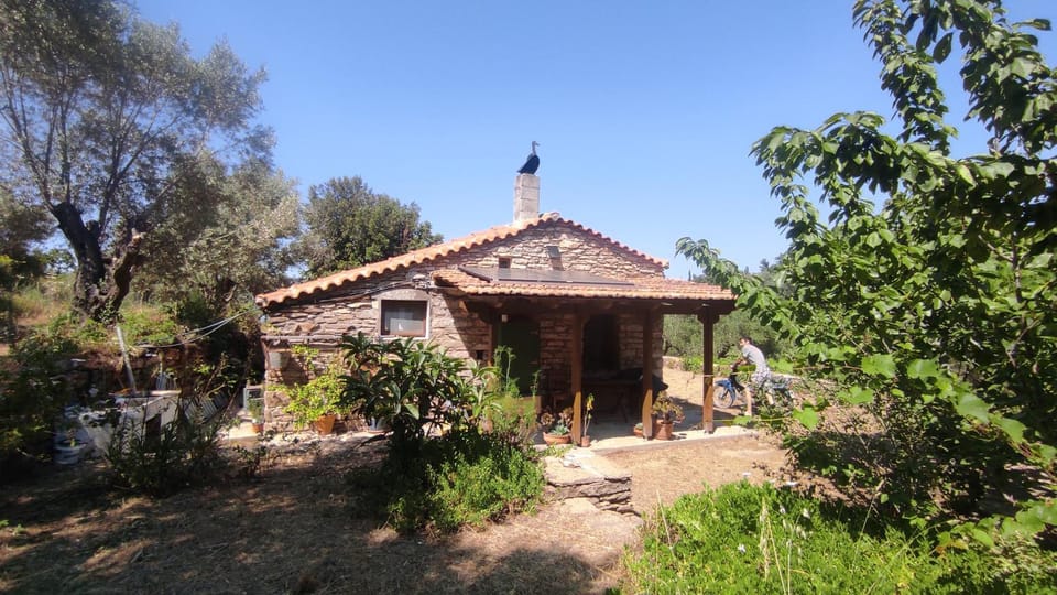 Property building, Garden view