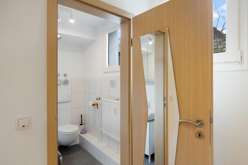 Shower, Toilet, Bathroom, Bath, towels