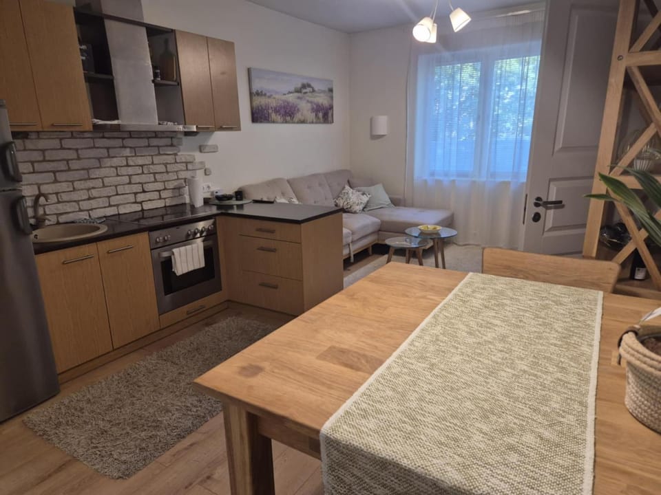 Kuressaare Kesklinna Korter Apartment in Estonia