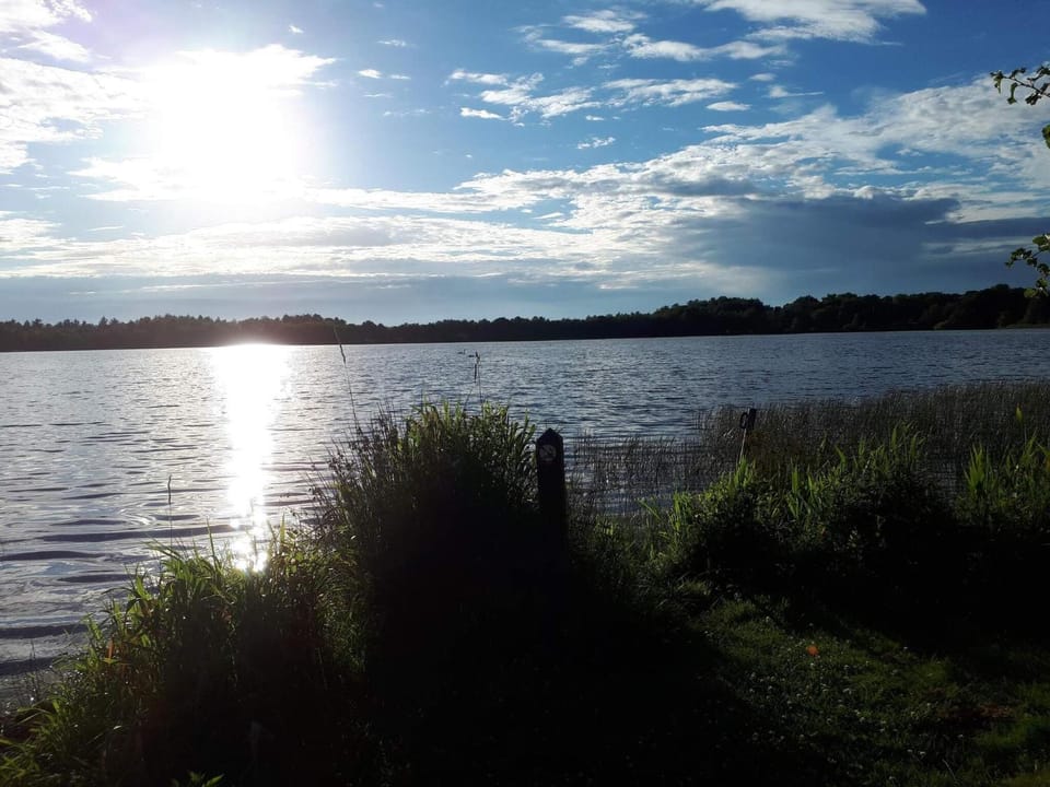 Lake view