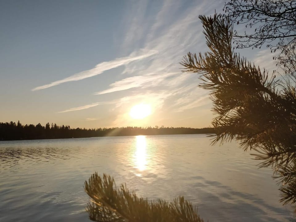 Lake view