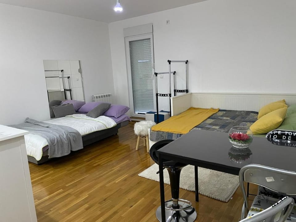 Stan- Andja Apartment in Belgrade
