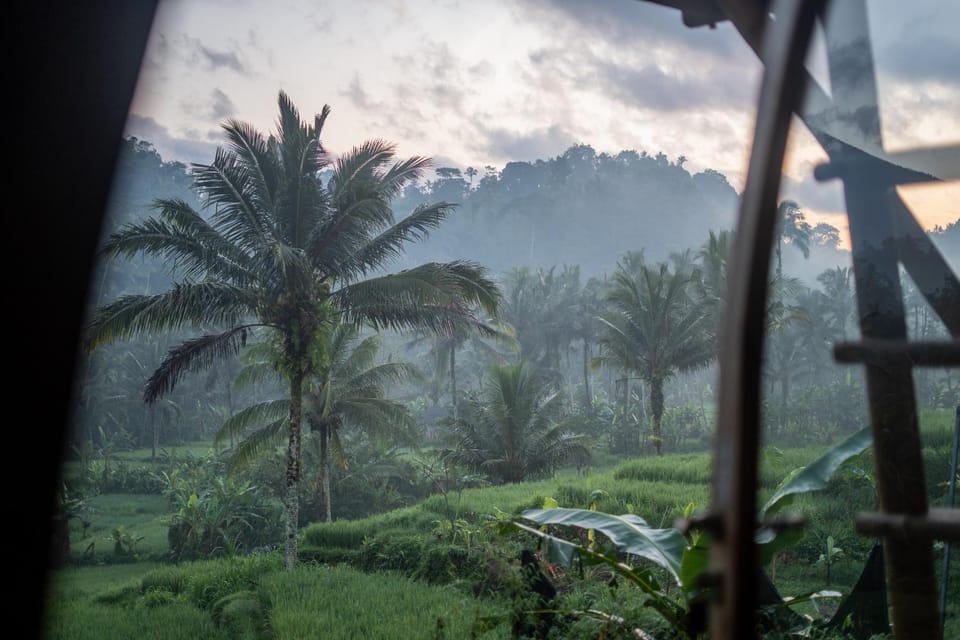 View (from property/room)