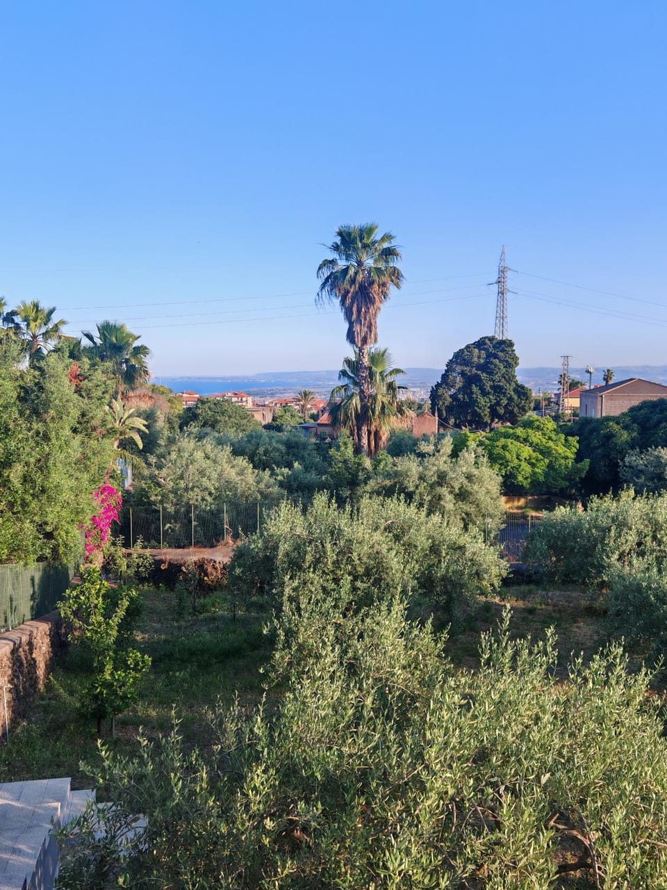 Garden, Sea view