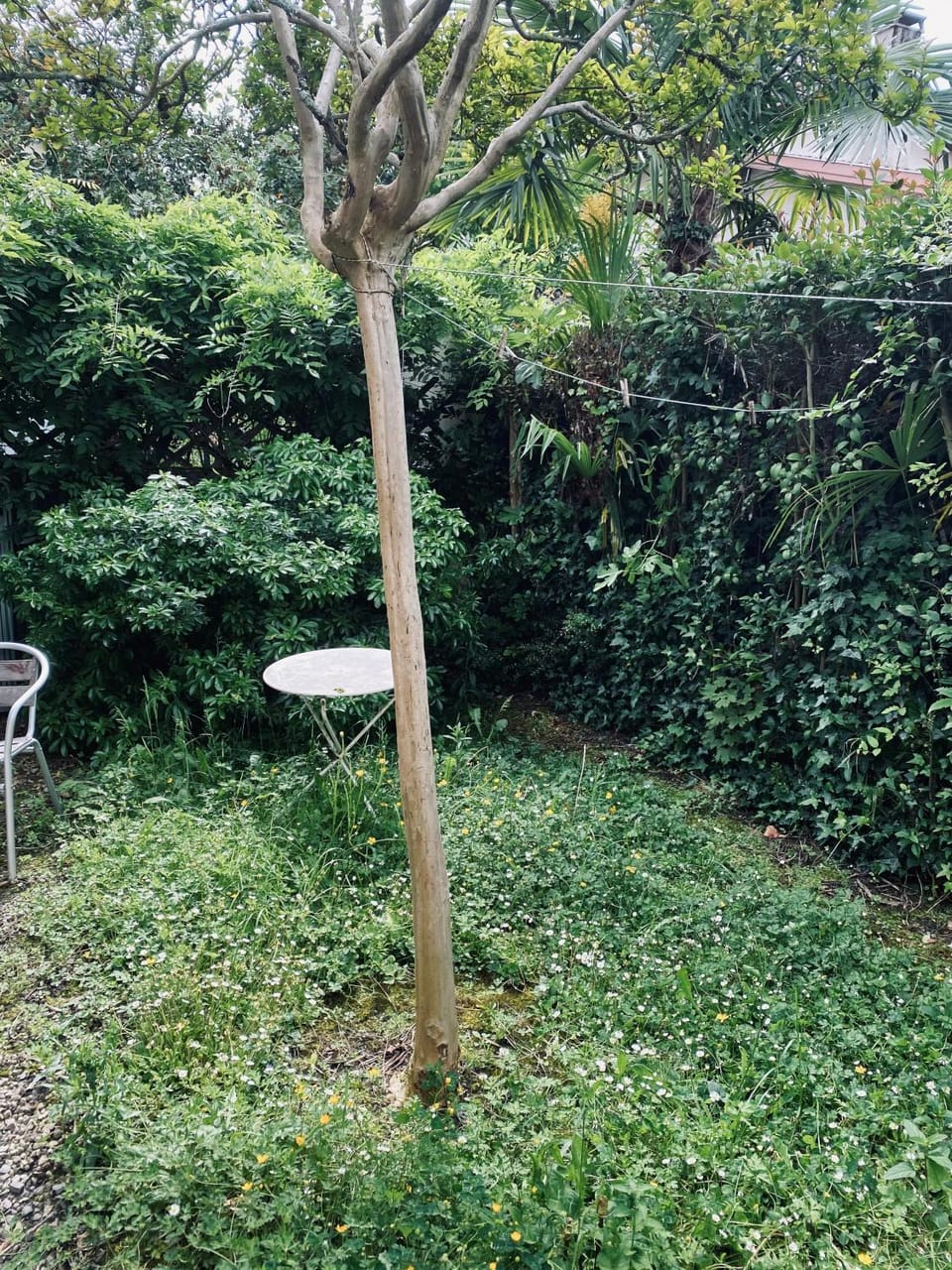 Appartement Cosy Pau avec Jardin Apartment in Pau