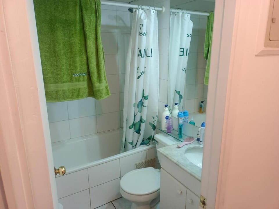 Central Departamento Apartment in Providencia