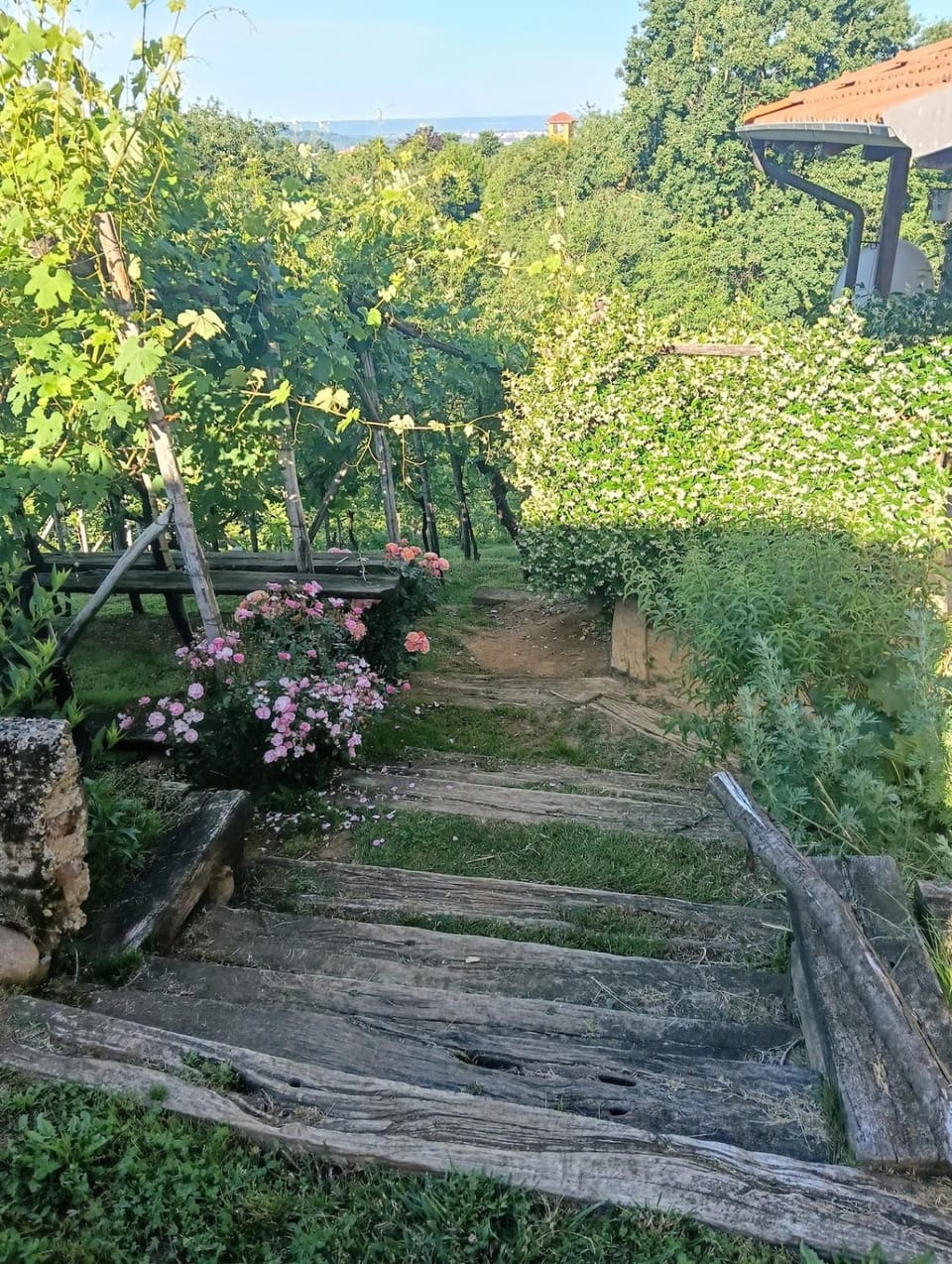 Casa Lodolo Lessona Apartment in Piedmont