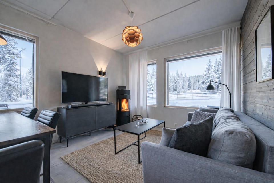 Winter, TV and multimedia, View (from property/room), Living room, Dining area, Quiet street view, fireplace, heating, internet