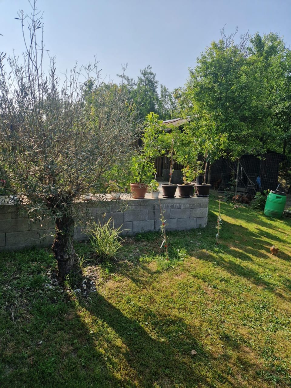 Natural landscape, Garden view