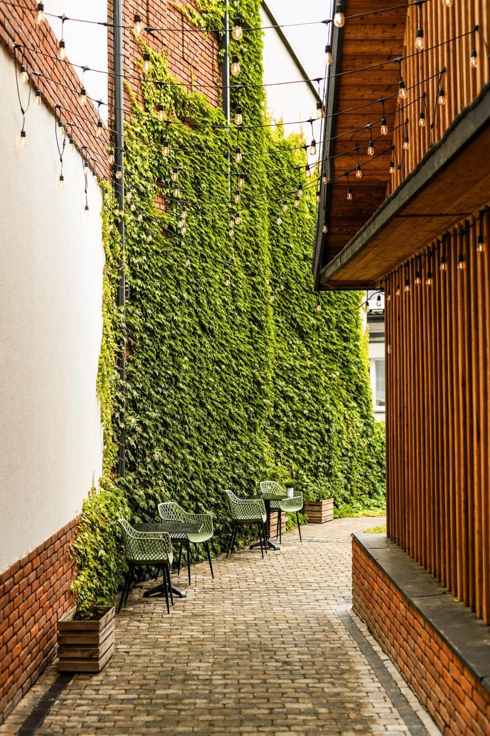 Day, Garden, Garden view