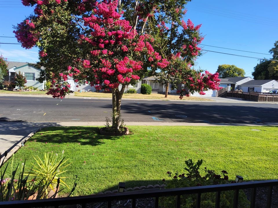 Neighbourhood, Natural landscape