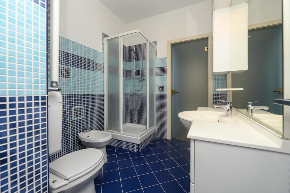 Shower, Toilet, Bathroom, bidet