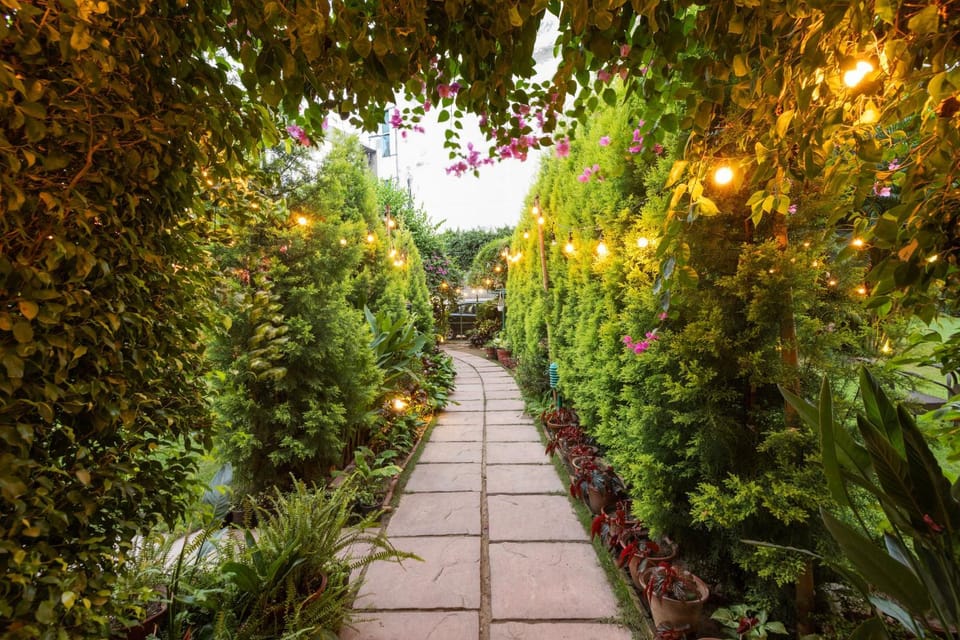 Garden