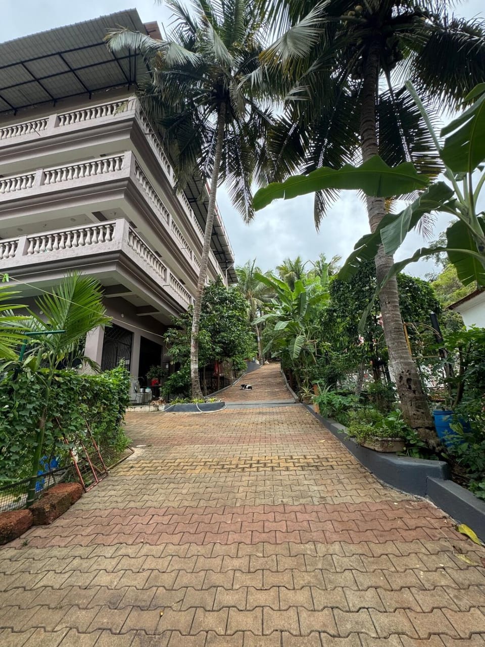 Property building, Day, Garden view