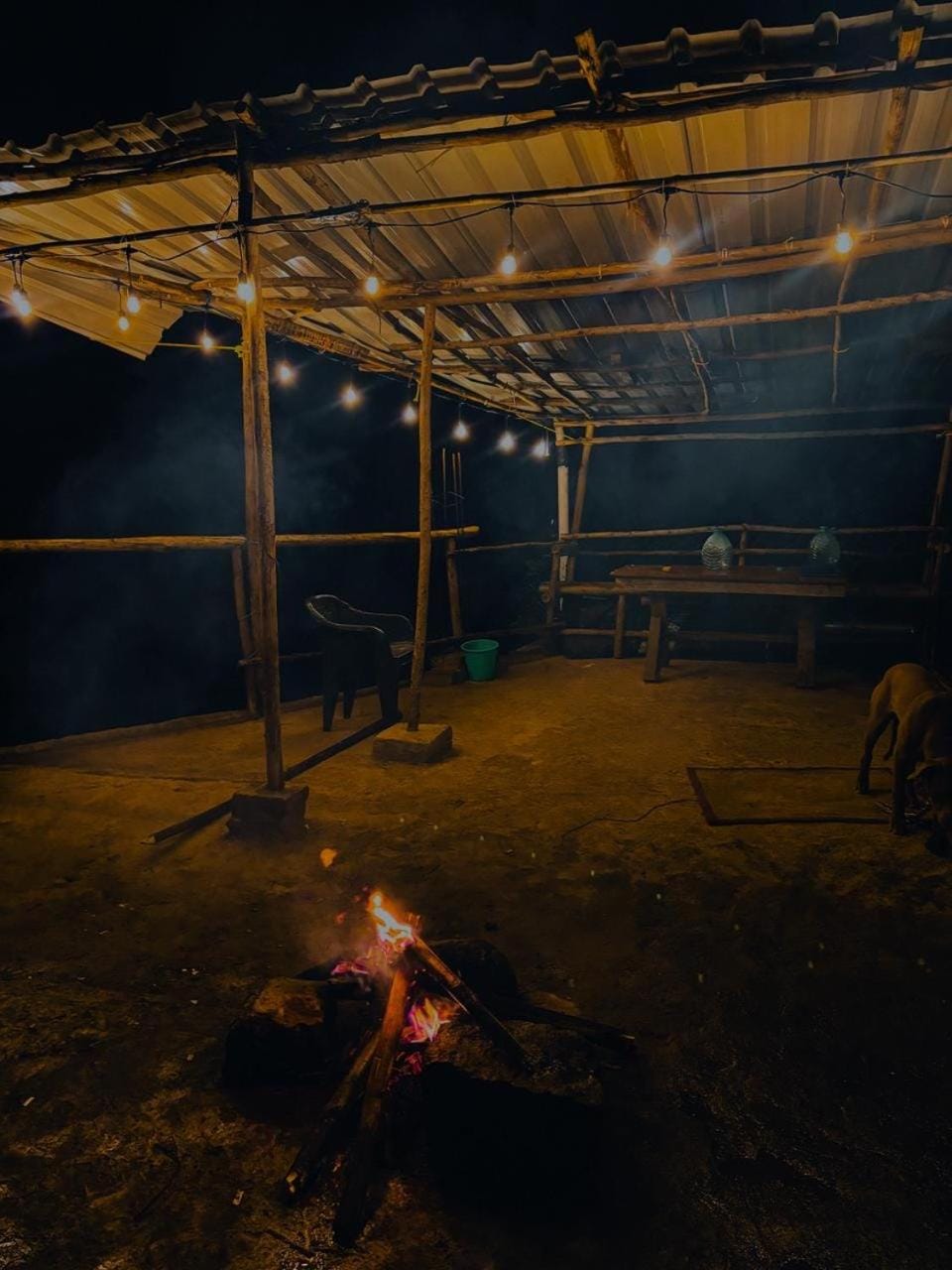 Night, BBQ facilities