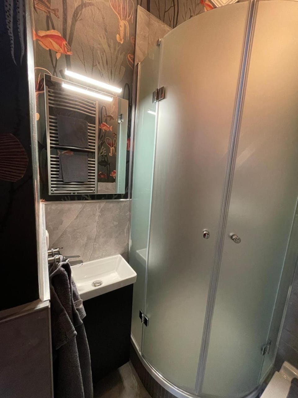 Bathroom, Living room