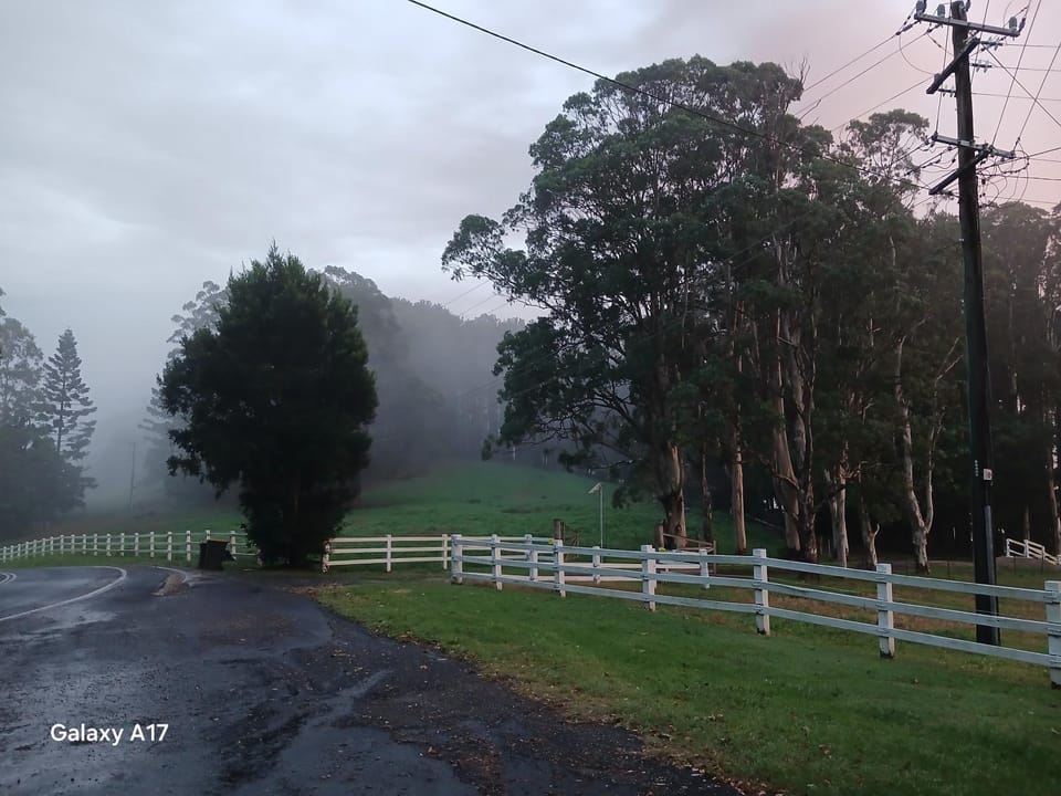 Paddock Shack Farm Stay in Currumbin Valley