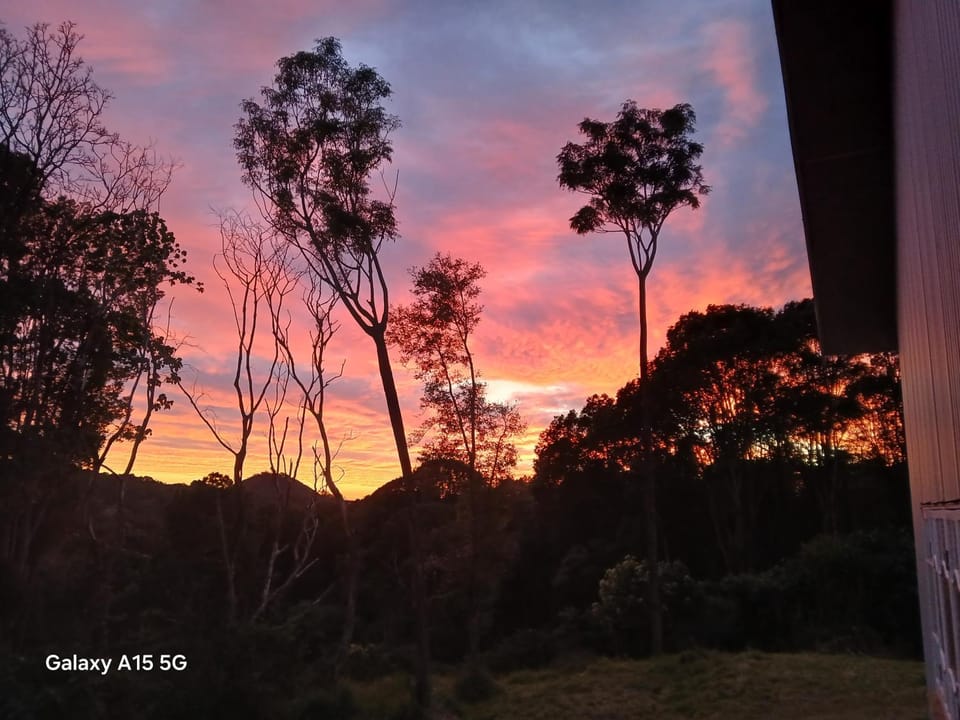Paddock Shack Farm Stay in Currumbin Valley