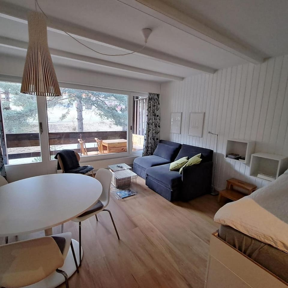 Le Flocon Studio in Ovronnaz close to the baths Apartment in Canton of Vaud