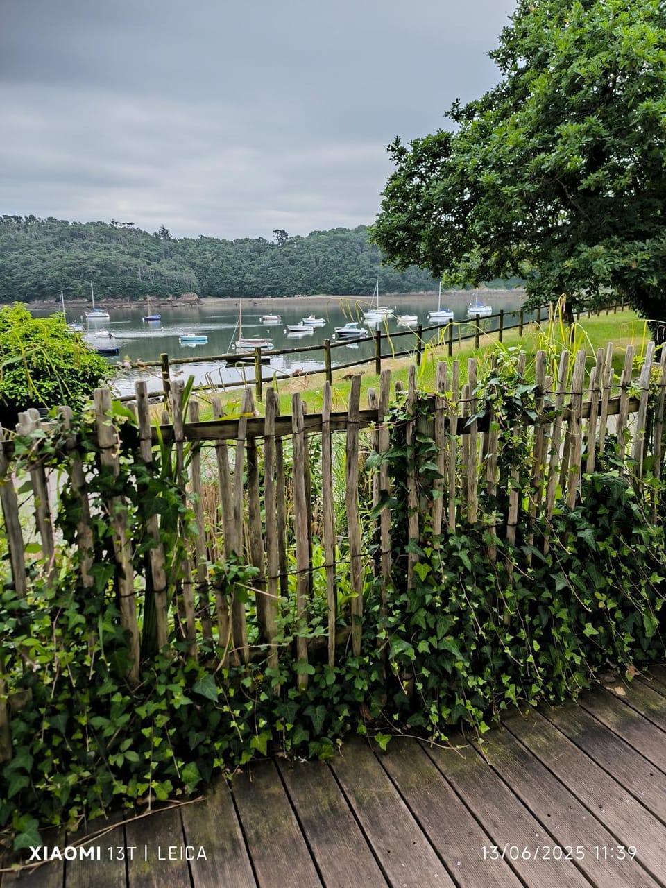 Natural landscape