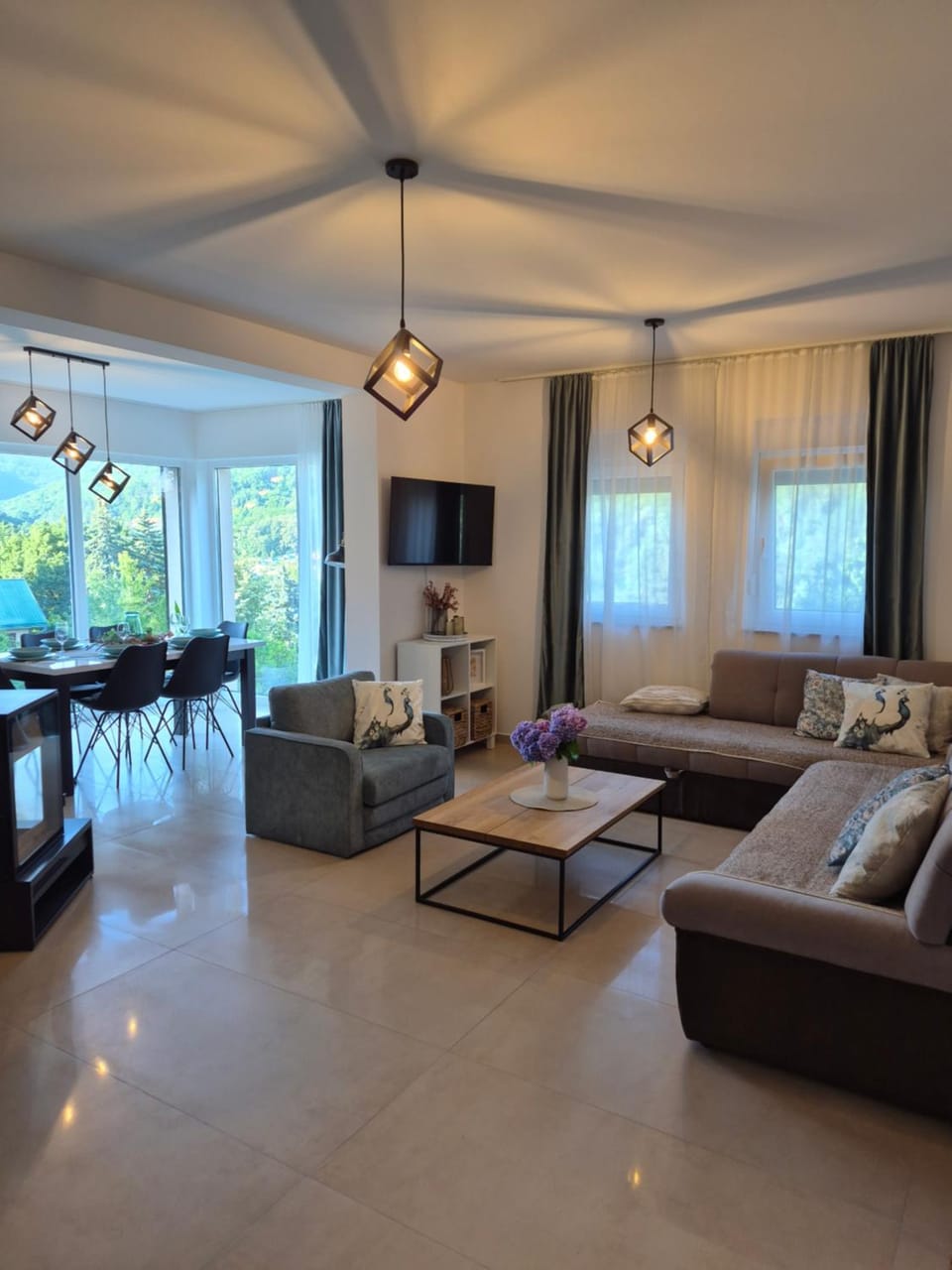 TV and multimedia, Living room, Seating area, Dining area, Mountain view, fireplace