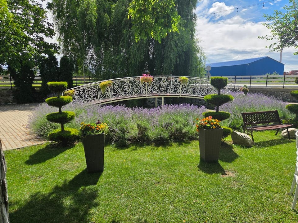 FLORA Garden Apartment in Dolj County, Romania