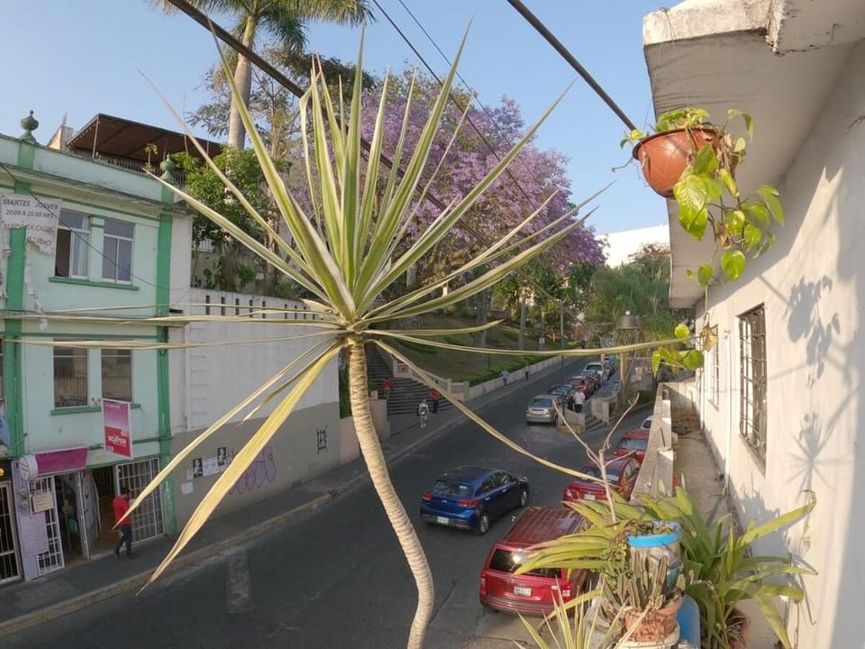 Depto CENTRO Parque Juarez Apartment in Xalapa