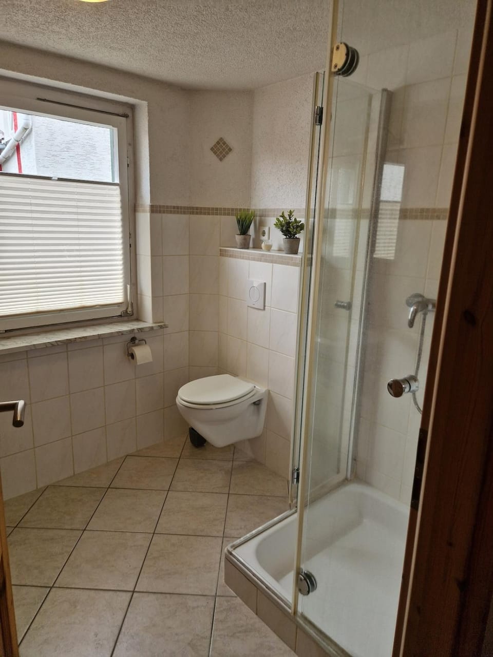 Shower, Toilet