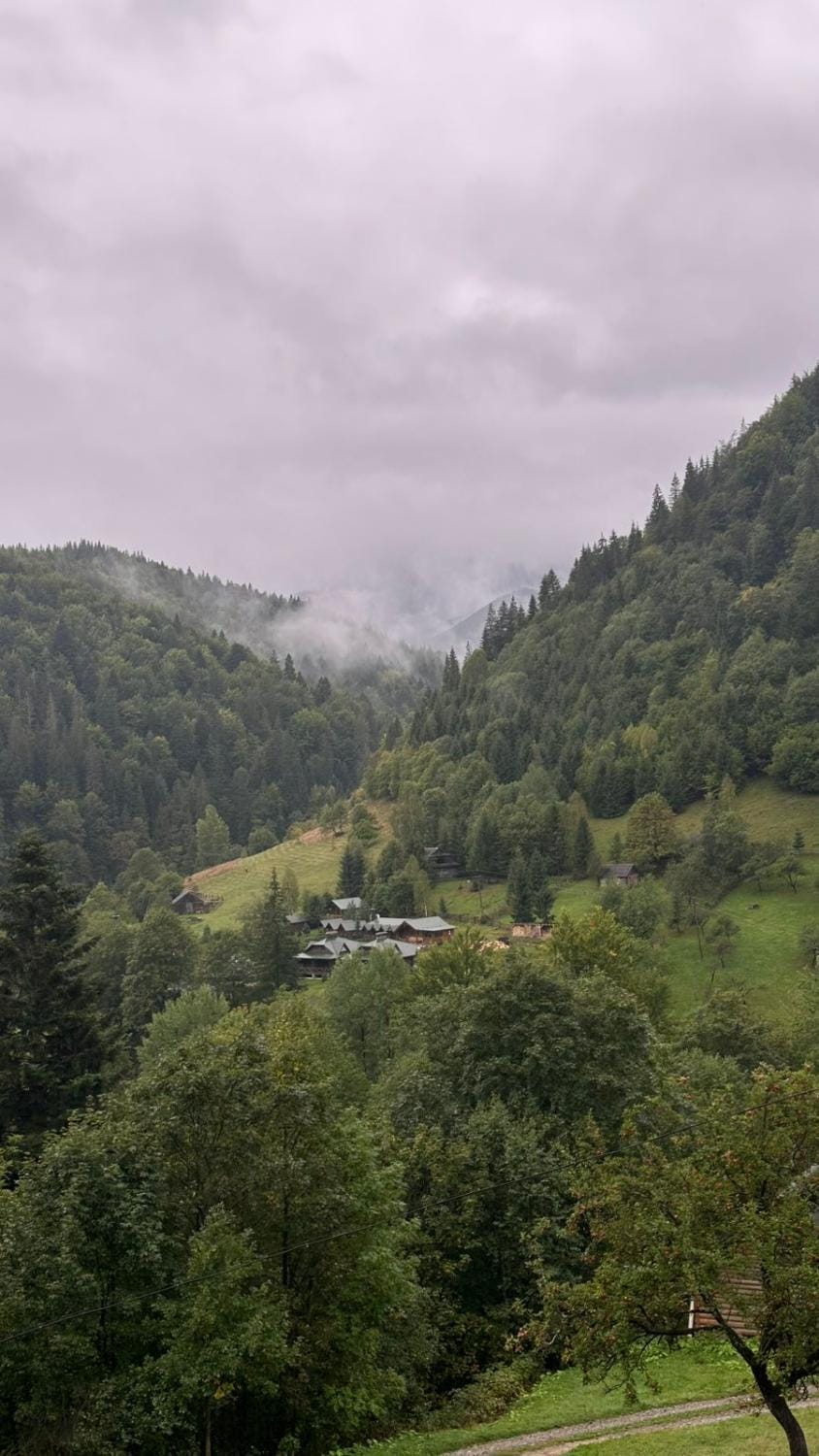 Nearby landmark, Natural landscape